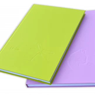 Set caiete școlare premium, A4, copertă cartonată, 112 file, cusut, culoare verde și roz