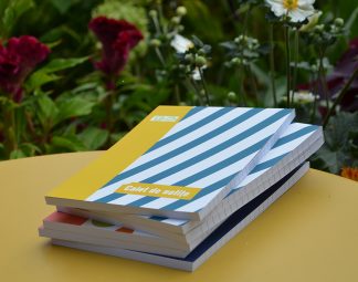 Caiet de notițe 13 x 18 cm, 60 file, linii oblice albastre